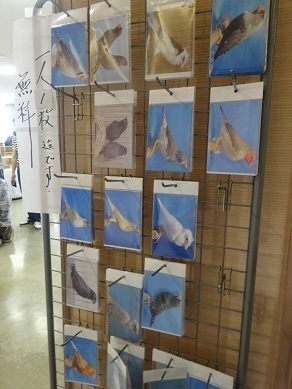 DSC06450.jpg m.jpg