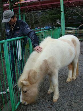 2014新年 023 m.jpg