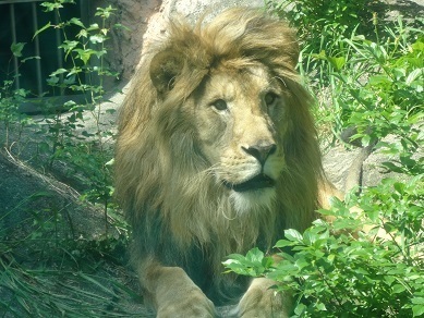 DSC06302.jpg m.jpg