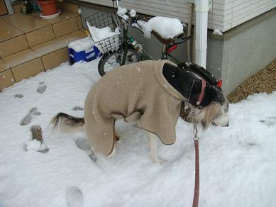 雪2014 004.jpg m.jpg