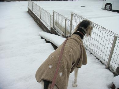 雪2014 006.jpg m.jpg